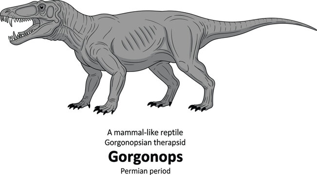 Gorgonops, mammal-like reptile therapsid from Permian period, prehistoric creature illustration.