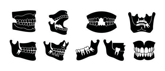 Human Teeth Jaw Anatomy Icons Set, Dental X-ray Style Illustrations, Orthodontic Oral Health Graphics, Set of Teeth Structure for Medical Charts, Dentist Clinic Education Infographic Symbols, Black Ve © Fernando