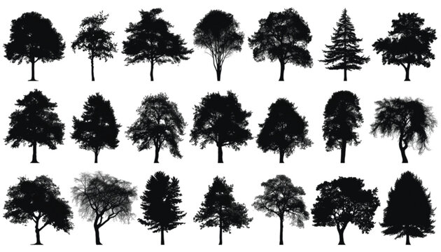 Trees silhouettes offer an extensive compilation of various woody plant structures including broadleaf and needle-leaf forms suitable for high-quality graphic design and environmental rendering.