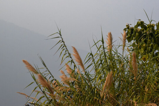 Panoramic view of Sittong, Darjeeling, West Bengal, India. Panoramic view of blue mountains peaks ridge.