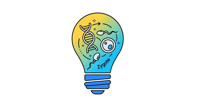 Light bulb with DNA, sperm, egg, and zygote illustration, symbolizing conception and genetics