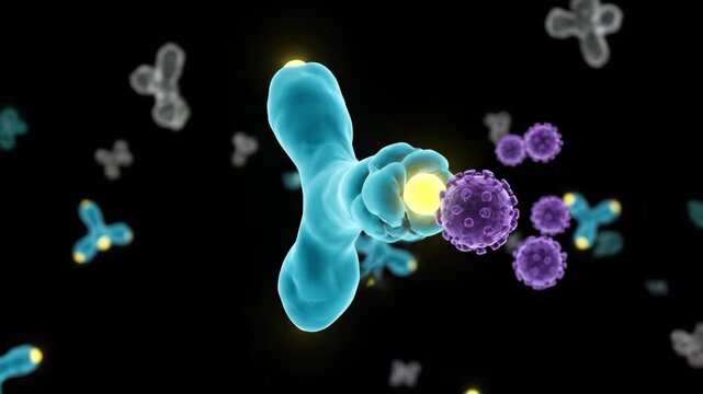 3D Animation of Turquoise Antibody Interacting with Purple Antigens