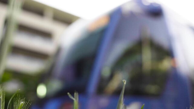 Eco-friendly tramway passing through lush green urban park with flowers