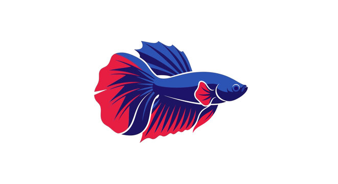 Vibrant Betta Fish Illustration: Siamese Fighting Fish, Red and Blue Fins, White Background