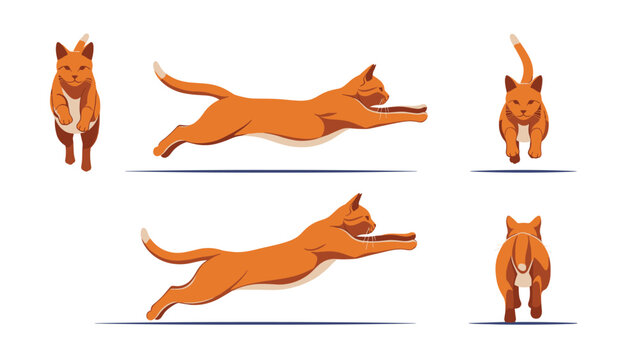 Multiple views of an orange tabby cat in various stages of a graceful jumping and pouncing motion isolated on a white background.