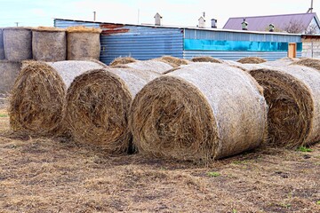 bales of hay © алекксандр semushkin