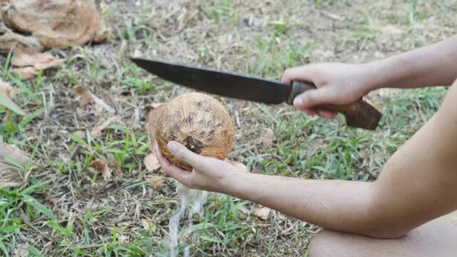 Filipino Breaking Coconut Open with a Machete (Sundang) for Food Preparation