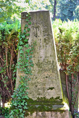 alter schlichter Grabstein von Efeu überwuchert auf einem Friedhof in Köln © Blende8