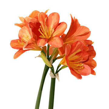 Clivia, illustrated as a clean 2D flat vector icon isolated on a white background