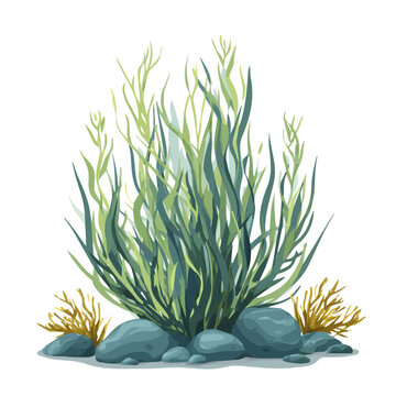 Sea Grass, presented as a modern flat 2D vector icon graphic on a white background