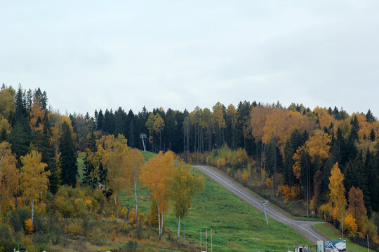 autumn