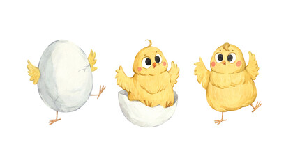 A set of watercolor illustrations featuring chicks hatching from their shells. This kind and friendly chick is perfect for children's products, agricultural packaging, and book illustrations. © Anna Bastron