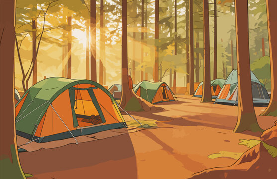 Sunlit Forest Campsite with Multiple Camping Tents