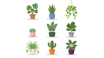 Fototapeta premium Diverse collection of popular potted houseplants for indoor decoration.