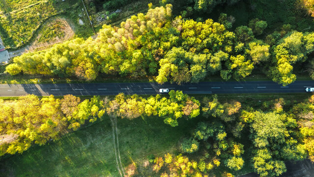 Road through forest connecting rural areas