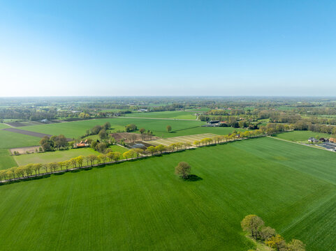 agricultural landscape in spring