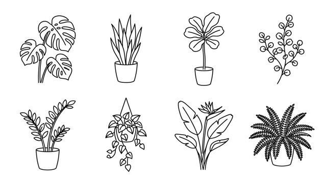 Collection of Potted Houseplants Line Art - Monstera, Snake Plant, Fiddle Leaf Fig, Ferns