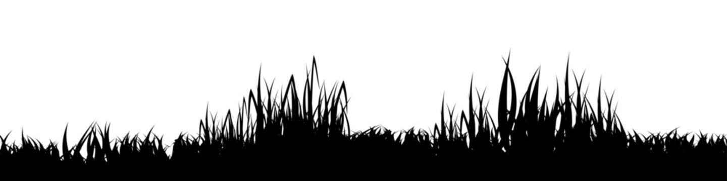 Meadow silhouette with grass, plants on plain. Panoramic summer lawn landscape with herbs, various weeds. Herbal border, frame element. Black horizontal banners. Vector illustration