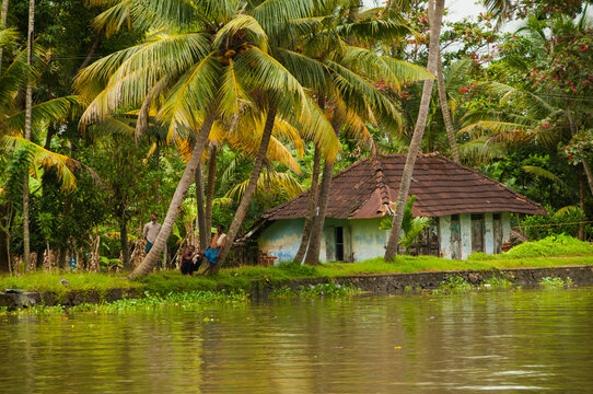 Landscape of Alleppey backwaters, Kerala, India.