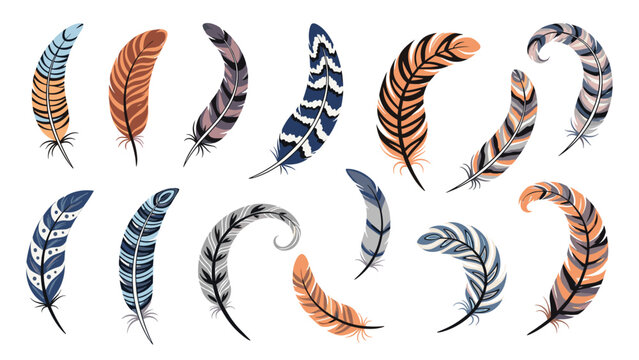 Collection of various bird feathers with intricate patterns and colors like orange, blue, and brown in a boho style.