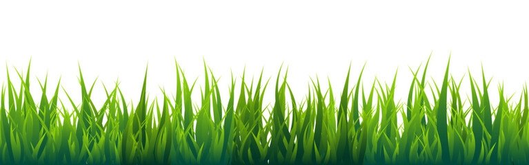 Fototapeta premium Meadow silhouette with green grass, plants on plain. Panoramic summer lawn landscape with herbs, various weeds. Herbal border, frame element. Black horizontal banners. Vector illustration