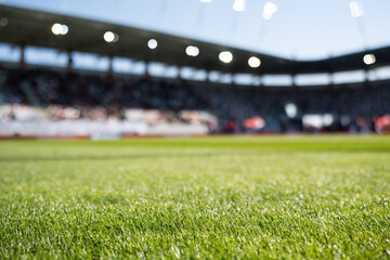 Grass at the football stadium before the game © Dziurek
