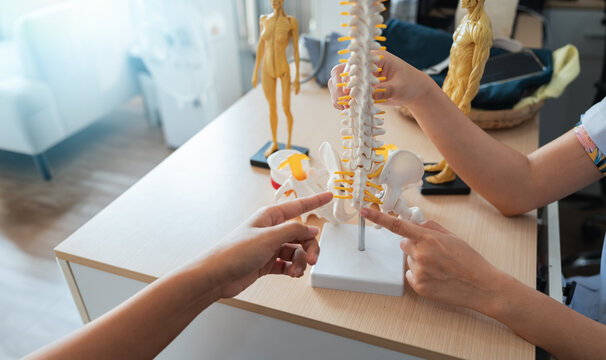 Medical healthcare diagnosis doctor patient consultation spine model on desk in clinic during discussion with specialist for back pain treatment and prevention focus on anatomy detail