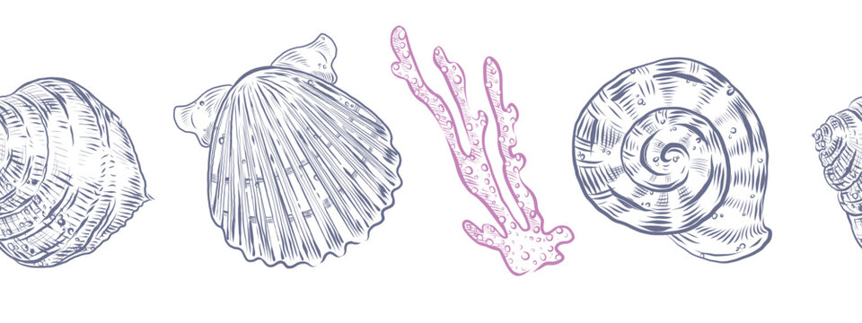 Seamless border of shells and corals. Hand-drawn ink illustrations of marine life for postcards, merchandise, and cafes. Underwater animal designs for summer decorative designs.