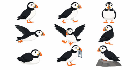 Fototapeta premium Several puffins are flying and standing on a rocky surface