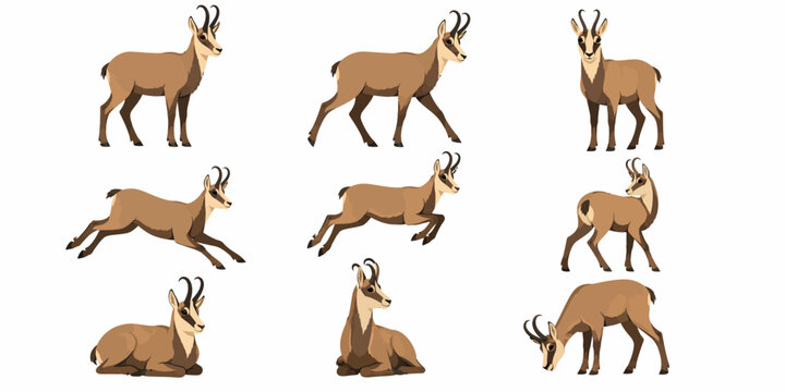 Several deer are running and jumping in a natural landscape environment outdoors.