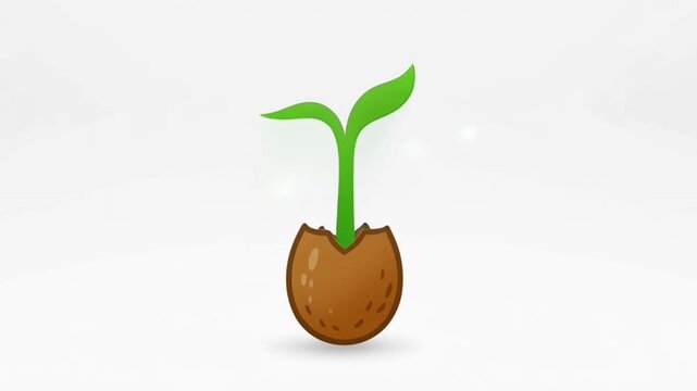 A small green plant sprouting from soil.