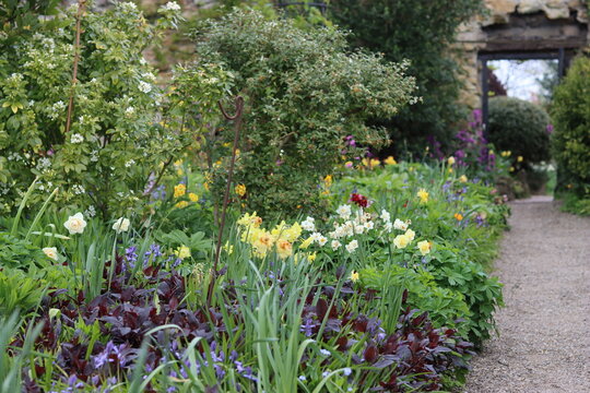 Colourful flower beds in a garden in spring