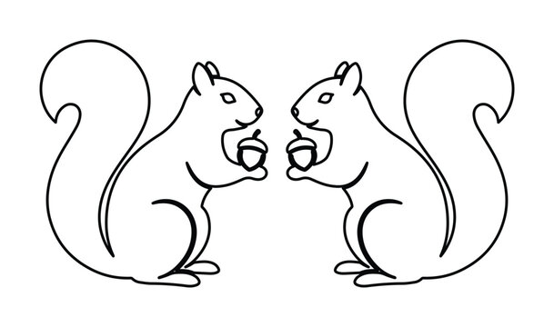 Minimalist squirrel line art vector, two symmetrical squirrels holding acorns, clean black outline animal illustration for coloring or logo design