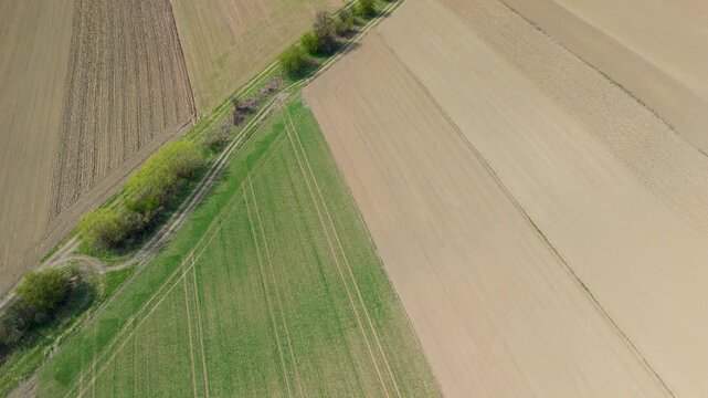 diagonal farmland lines aerial perspective for agriculture pattern background with cultivated fields and natural textures
