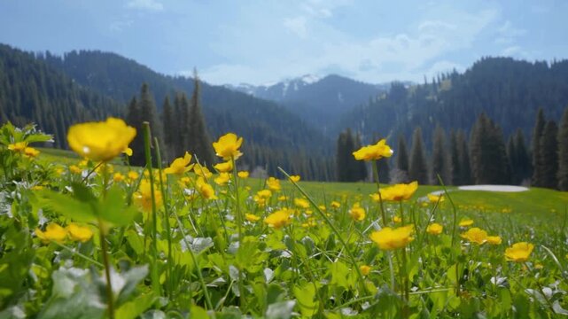 Wildflowers Swaying in the Wind Beneath a Snow-Capped Mountain Forest Backdrop