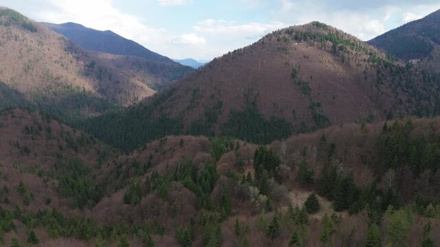 Aerial Drone Video of Mountain Forest in Early Spring Forward Flight Tilting Down to Valley Stream