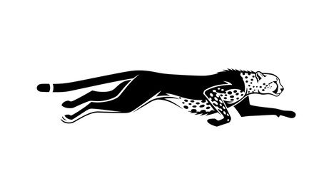 Running cheetah silhouette vector illustration isolated on white background. © Hafiz