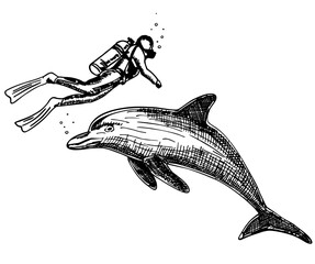 Black and white vector illustration of scuba diver swimming alongside dolphin underwater. Engraving style drawing with detailed lines, marine life concept, exploration and ocean adventure theme. Hand- © EVGENIY