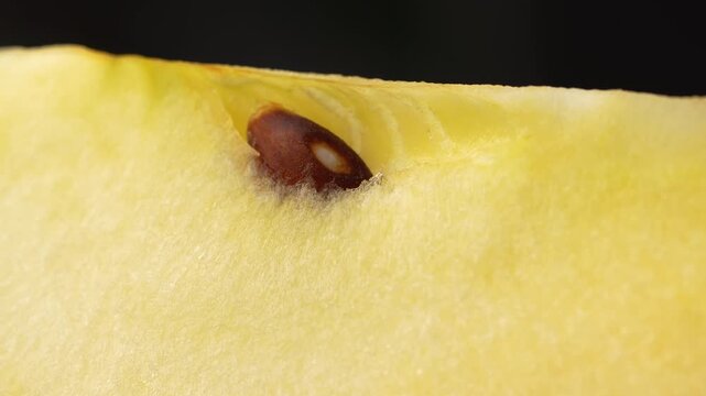 Extreme macro shot detailing the juicy texture of apple flesh and a glossy brown seed inside.