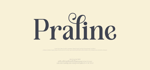 Praline, Elegant wedding typography classic serif font decorative vintage retro. Creative vector illustration © Anonymous