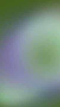 Soft Blurred Light Scene Shifting Colors in Gentle Ambient Glow