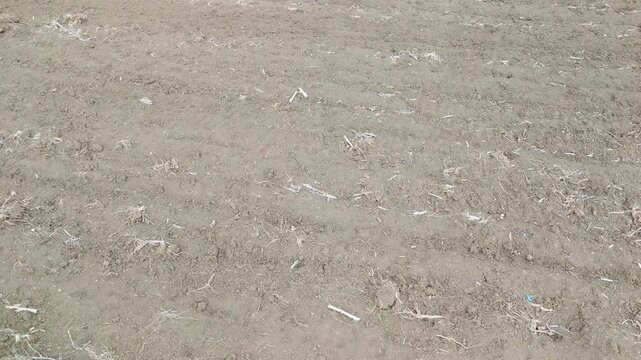 aerial dry soil texture background for natural surface concept with dirt ground and minimal earthy pattern