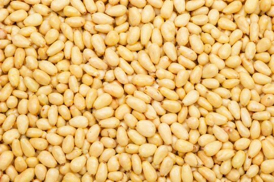 Pine Nuts Background. Nuts Background. Generative Ai