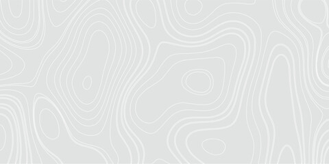 Stylish topographic contour map pattern texture with space for text. Abstract lines and wavy vector background. © alfan