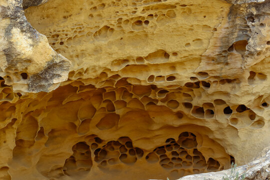 Honeycomb weathering in sandstone rock, Gobustan, Azerbaijan