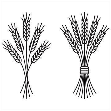Contrast of wheat sheaves: loose and bundled
