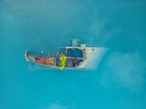 Aerial view of a rusty shipwreck submerged in turquoise water with a small green tree growing from its deck Guanaja, Bay Islands Department, Honduras.
