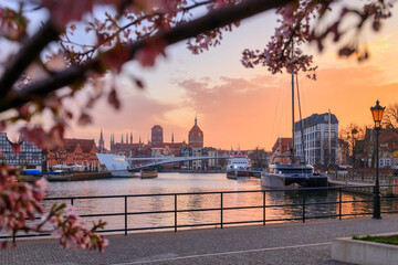 Spring flowers blooming on the trees over the Motlawa river in Gdansk. Poland © Patryk Kosmider