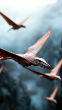 A large group of pterosaurs soars through the sky above rocky formations. These flying reptiles glide effortlessly in the air. Their wings stretch wide as they move among the clouds