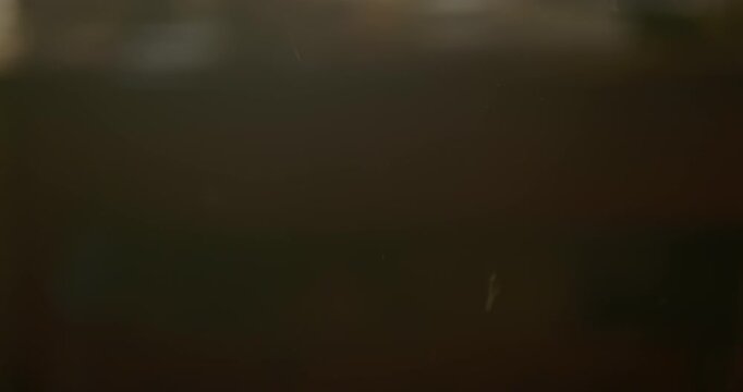 Cinematic dust particles and pet fur floating and falling in the air, highlighting home environment and allergy concept, view of dust and fine pet fur drifting through the air inside a home interior. 